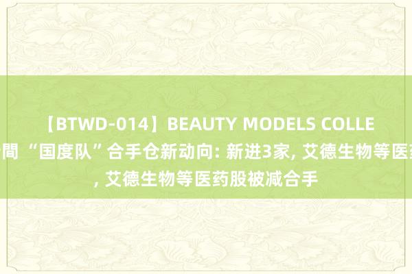 【BTWD-014】BEAUTY MODELS COLLECTION 2 4時間 “国度队”合手仓新动向: 新进3家， 艾德生物等医药股被减合手