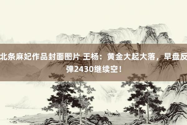 北条麻妃作品封面图片 王杨：黄金大起大落，早盘反弹2430继续空！