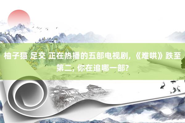 柚子猫 足交 正在热播的五部电视剧， 《难哄》跌至第二， 你在追哪一部?