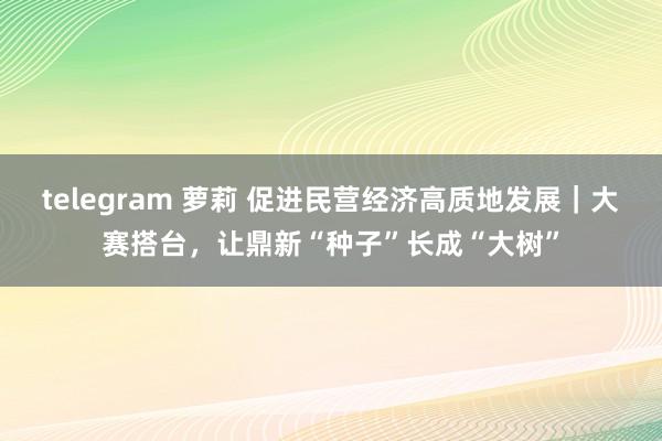 telegram 萝莉 促进民营经济高质地发展｜大赛搭台，让鼎新“种子”长成“大树”