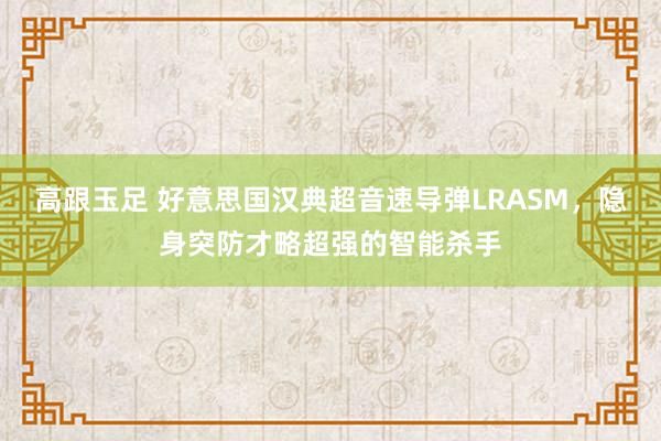 高跟玉足 好意思国汉典超音速导弹LRASM，隐身突防才略超强的智能杀手