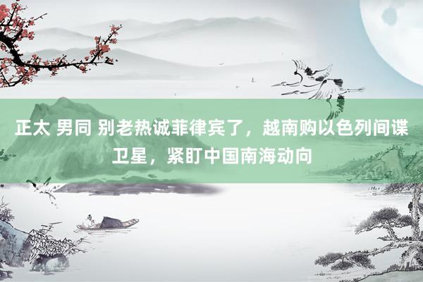 正太 男同 别老热诚菲律宾了，越南购以色列间谍卫星，紧盯中国南海动向