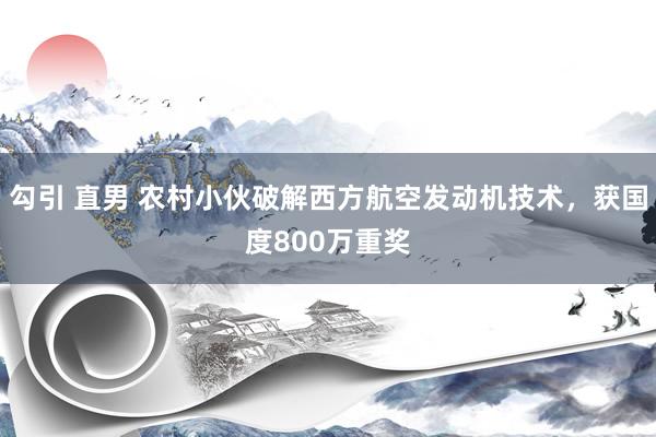 勾引 直男 农村小伙破解西方航空发动机技术，获国度800万重奖