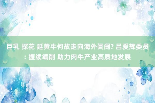 巨乳 探花 延黄牛何故走向海外阛阓? 吕爱辉委员: 握续编削 助力肉牛产业高质地发展