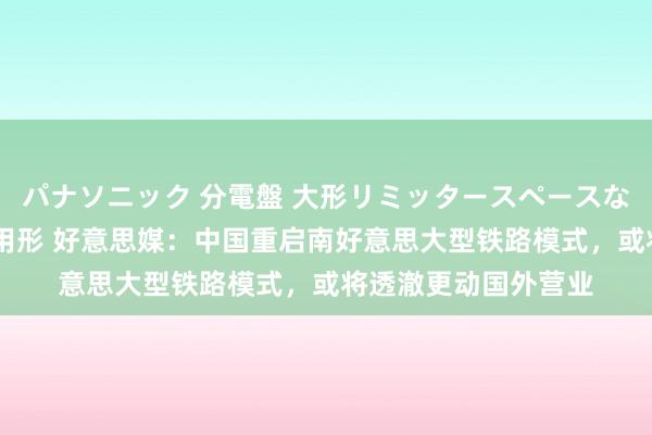 パナソニック 分電盤 大形リミッタースペースなし 露出・半埋込両用形 好意思媒：中国重启南好意思大型铁路模式，或将透澈更动国外营业