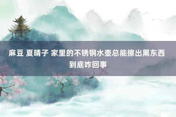 麻豆 夏晴子 家里的不锈钢水壶总能擦出黑东西 到底咋回事