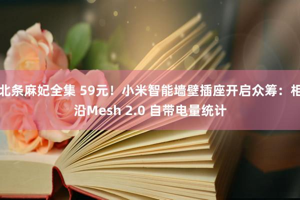 北条麻妃全集 59元！小米智能墙壁插座开启众筹：相沿Mesh 2.0 自带电量统计