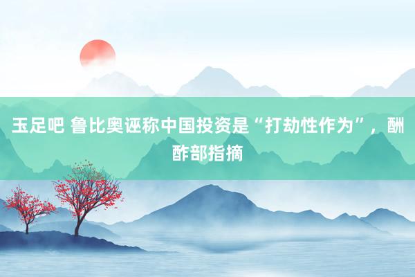 玉足吧 鲁比奥诬称中国投资是“打劫性作为”，酬酢部指摘