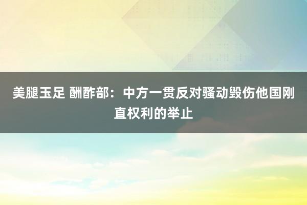 美腿玉足 酬酢部：中方一贯反对骚动毁伤他国刚直权利的举止